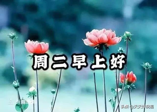 微信群周末早安問候語（周二早安祝福語簡短祝福語）