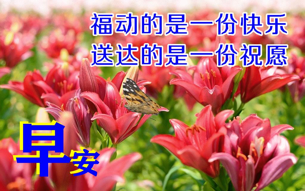 冬天里早晨最美動態圖片和問候語（11月早上好的句子圖片）