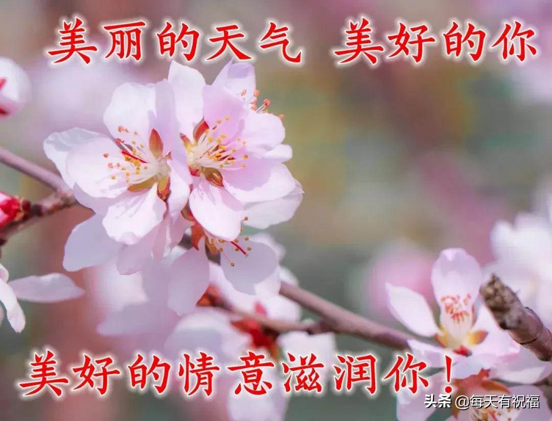 特別漂亮的早安祝福動態圖片大全 最新早安祝福圖片大全