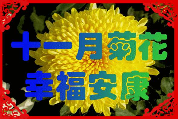 明日元旦祝福語（最新早上好朋友問候）