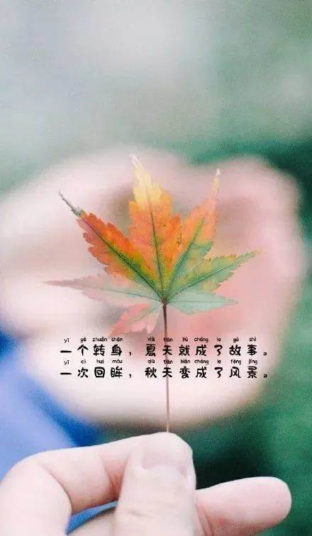 朋友圈最精辟的人生感悟經典語錄（朋友圈最精辟的人生感悟經典語錄）