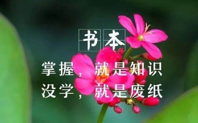 朋友圈經典的一句話心情說說_朋友圈經典說說