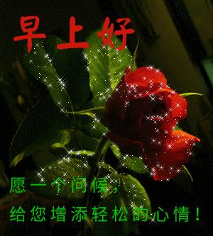 早上好祝福你開心快樂每一天（祝親們幸福快樂每一天）