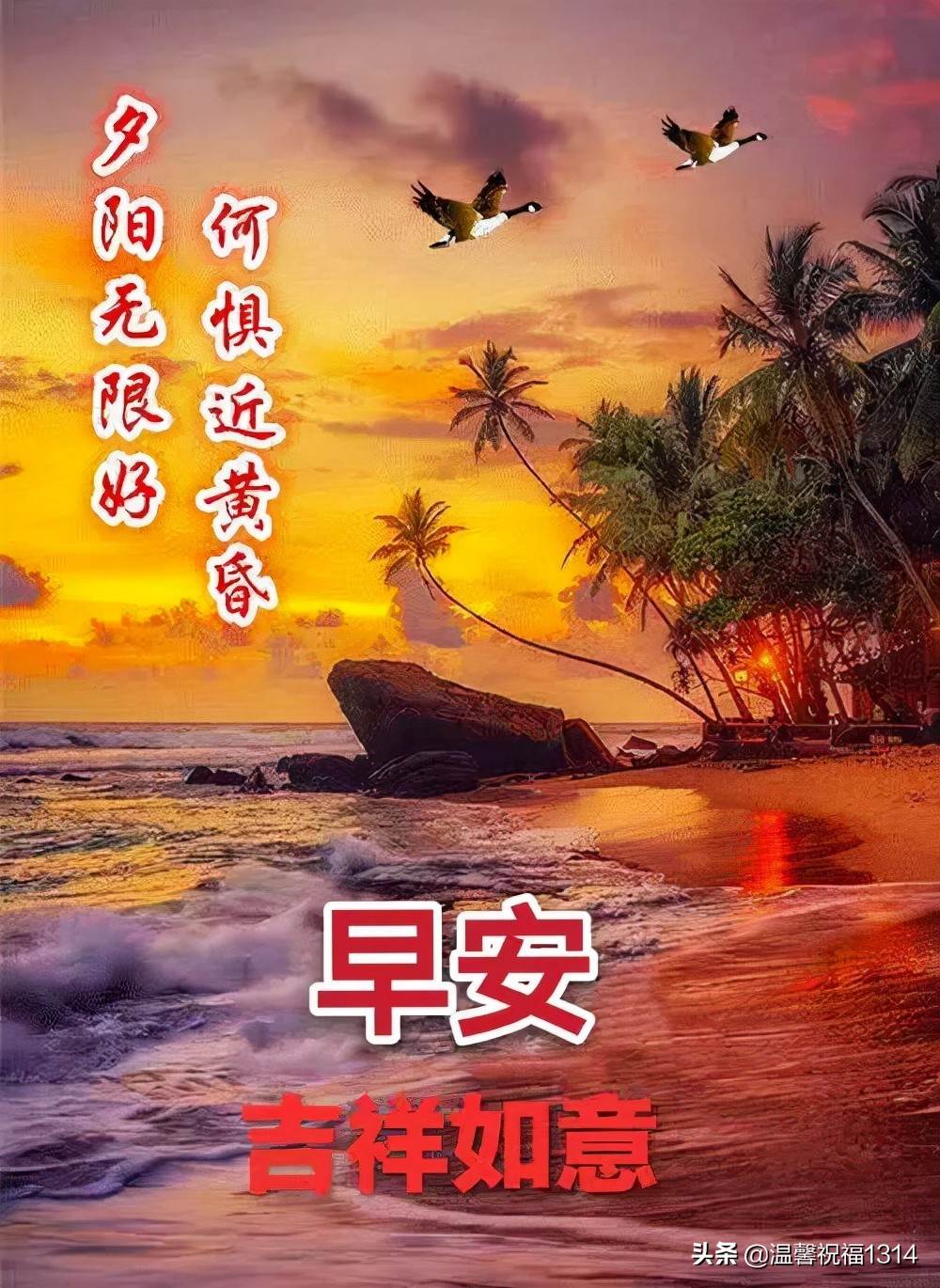 祝福家人早上好的圖片 祝福家人健康的早安語