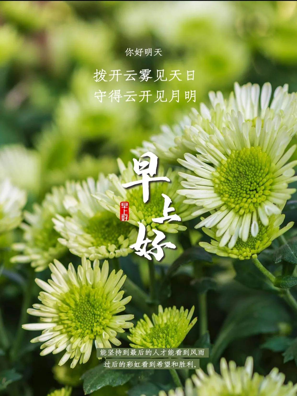 適合發朋友圈的早安文案圖片_朋友圈早安問候語配圖