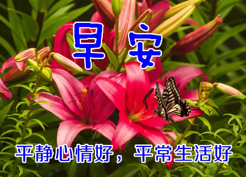 冬天里早晨最美動態圖片和問候語（11月早上好的句子圖片）