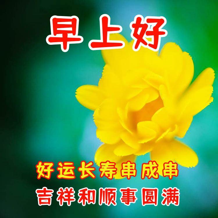 祝福平安健康快樂早上好問候語（早上問候平安健康好運快樂幸福語）