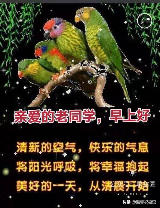 老同學早上好問候語圖片大全_同學早上好問候語圖片表情包