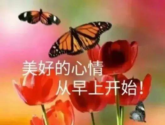 特別漂亮的早上好圖片祝福問候語 特別漂亮的早上好問候語表情美女圖片