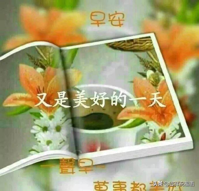 微信早晨最暖心的問候語（溫馨早晨問候語）