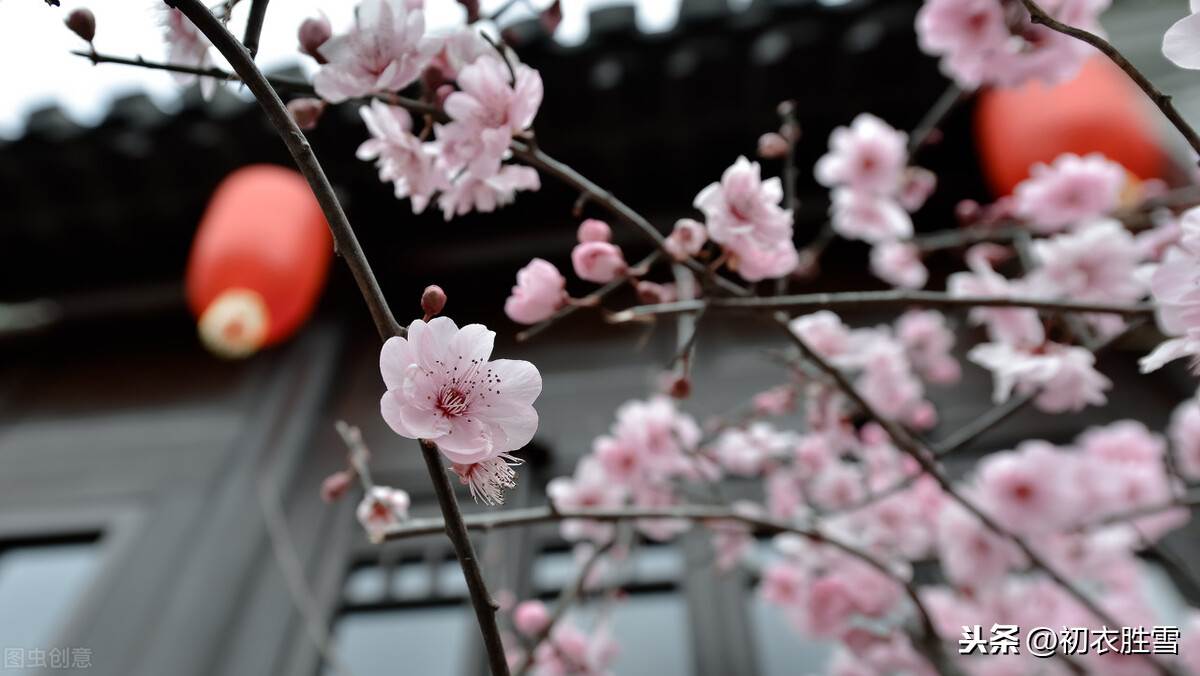 春意舊乾坤詩句意思_詩詞里的新年祝福