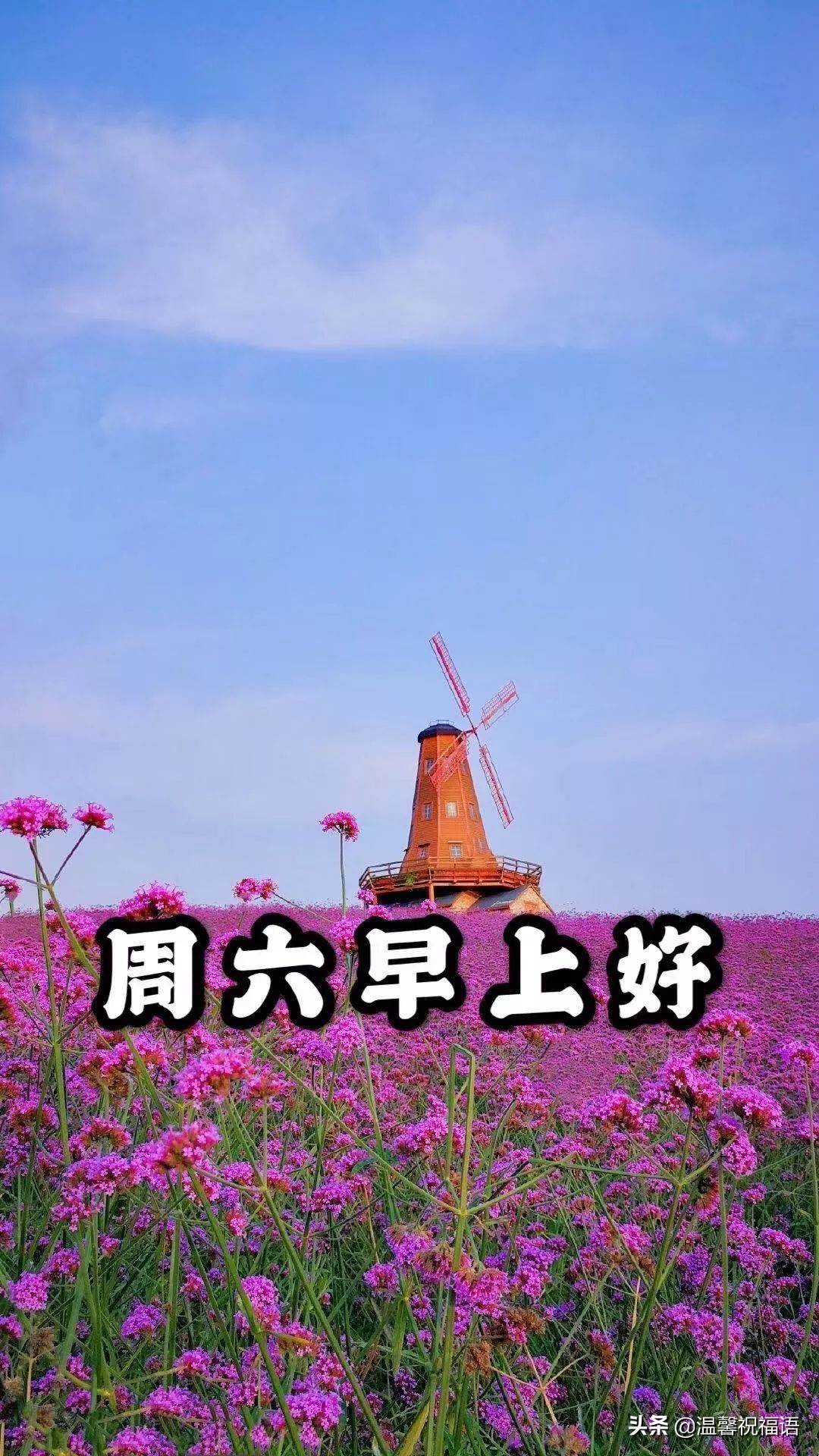 星期六早上好圖片帶字祝福語 周末早上好的圖片帶字