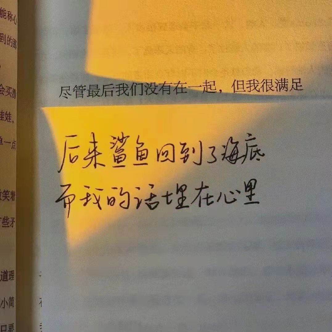 隱藏傷感文案 藏不住的文案