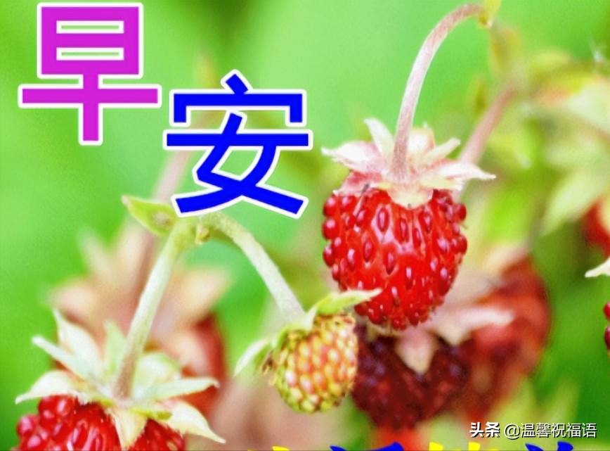 3月14日早上好圖片_周四快樂早上好動態圖片