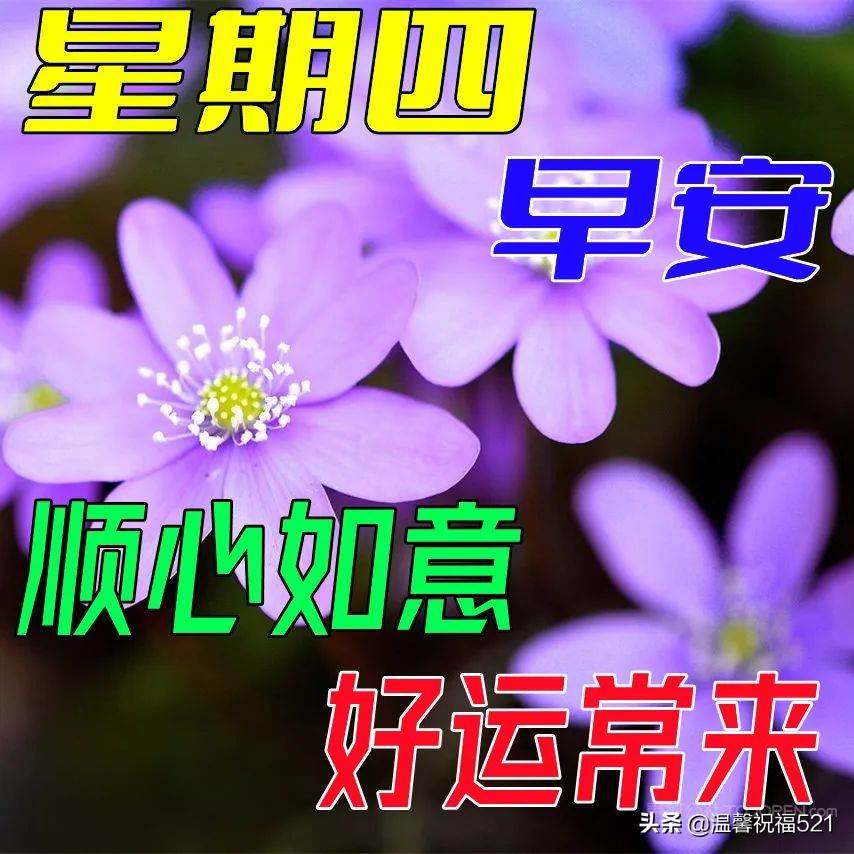 早上最新最好問候語動態圖片大全（最新夏天早上好圖片問候語）