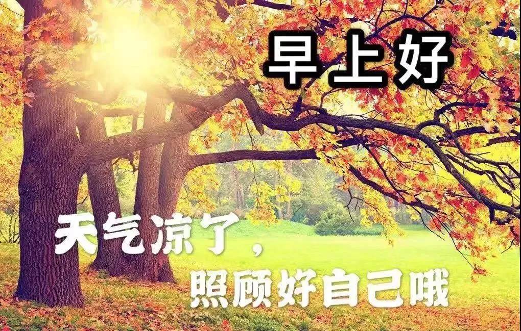 愿我的問候能開啟你一天的美好（把最美的祝福送給你早安）