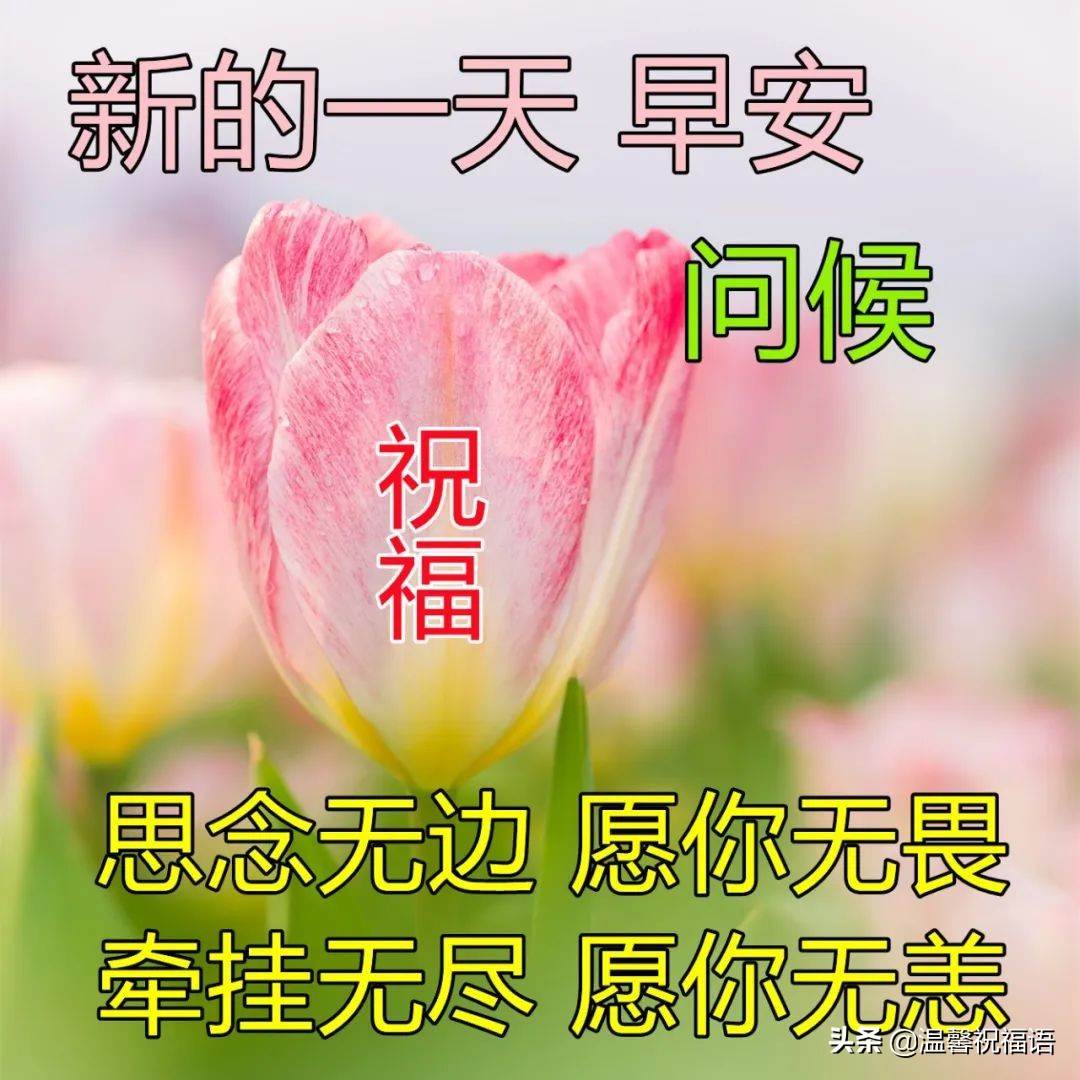 早安美麗的清晨圖片帶字 早上好圖片帶字句子早安心情語錄