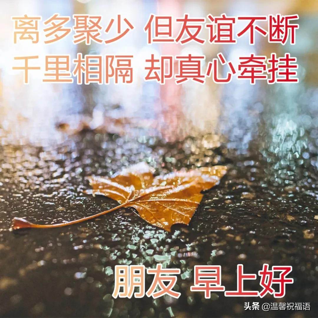 最新最美早上好問候語圖片（早上問候語簡短唯美圖片）