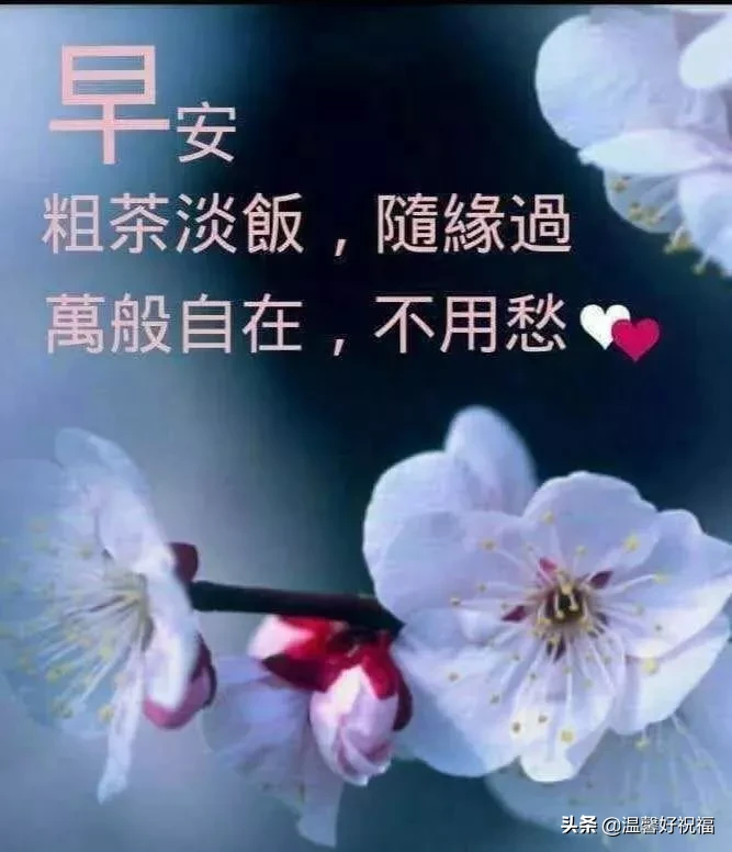 正能量勵志問候語帶圖片 陽光祝福正能量的句子簡短