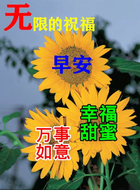 關于早安語正能量說說朋友圈_最新朋友圈早安心語