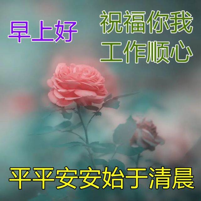 每日問候早安心語圖片表情早晨（每天早上問候語圖片大全表情包）