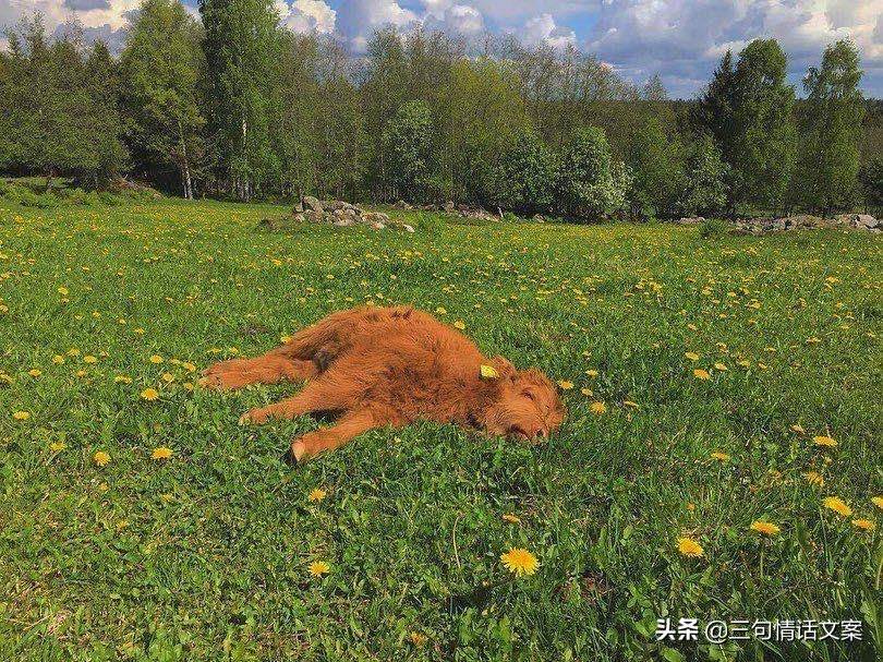 暖心晚安句子簡短文案 晚安溫馨的文案