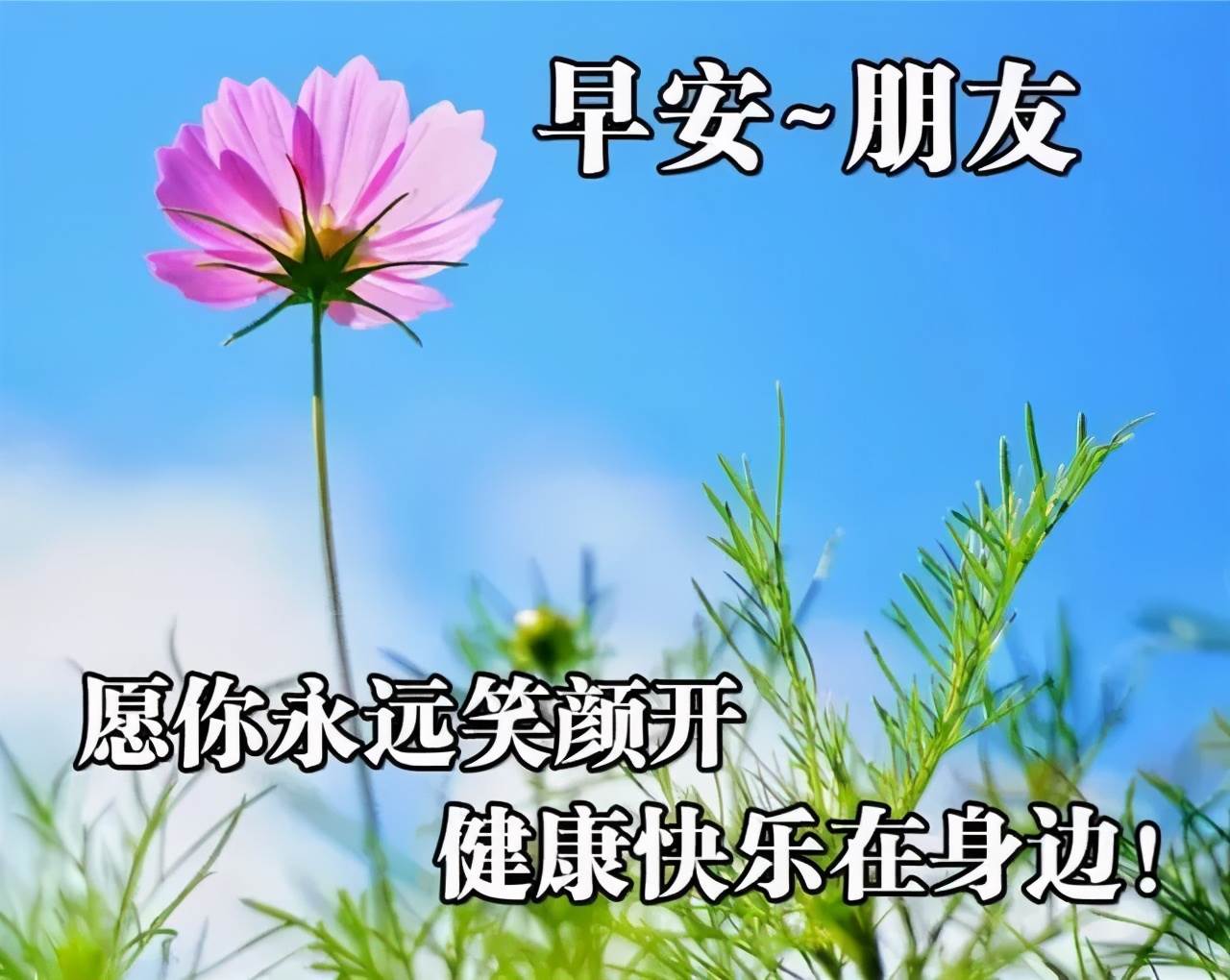 早上圖片問候表情圖片祝福語（最新的早上好動態問候祝福語圖片大全）