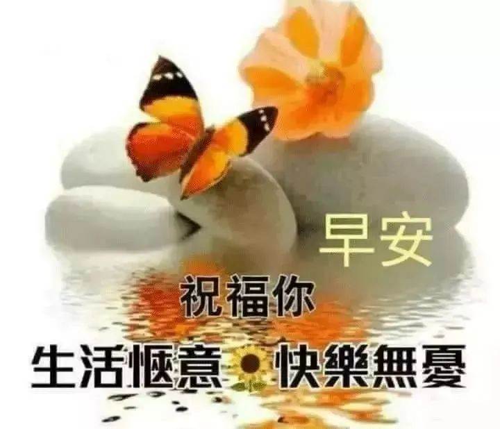 人生要活得從容的意思_活就要活的自在從容