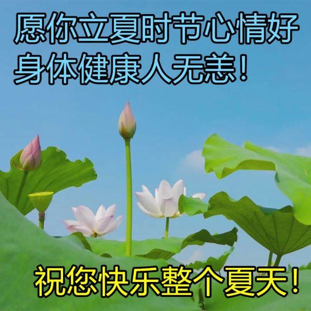 立夏經典祝福語 立夏祝福圖片高清