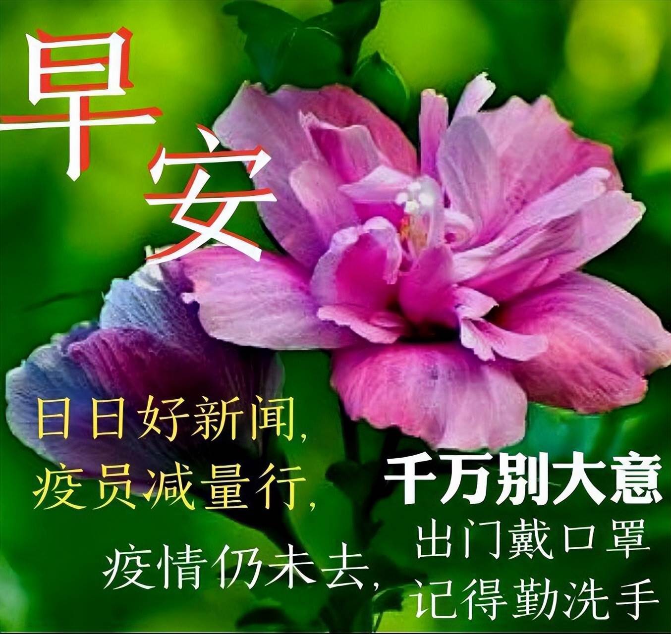 為朋友送上一句早安祝福 祝福朋友的溫馨早安的