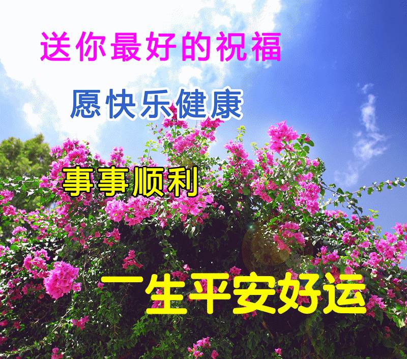 早上好問候語大全早上好祝福語表情圖片_早晨問候圖片大全祝福早上好