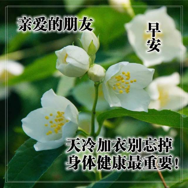 早安心語正能量唯美心靈雞湯短句（早安心語勵志正能量語句）