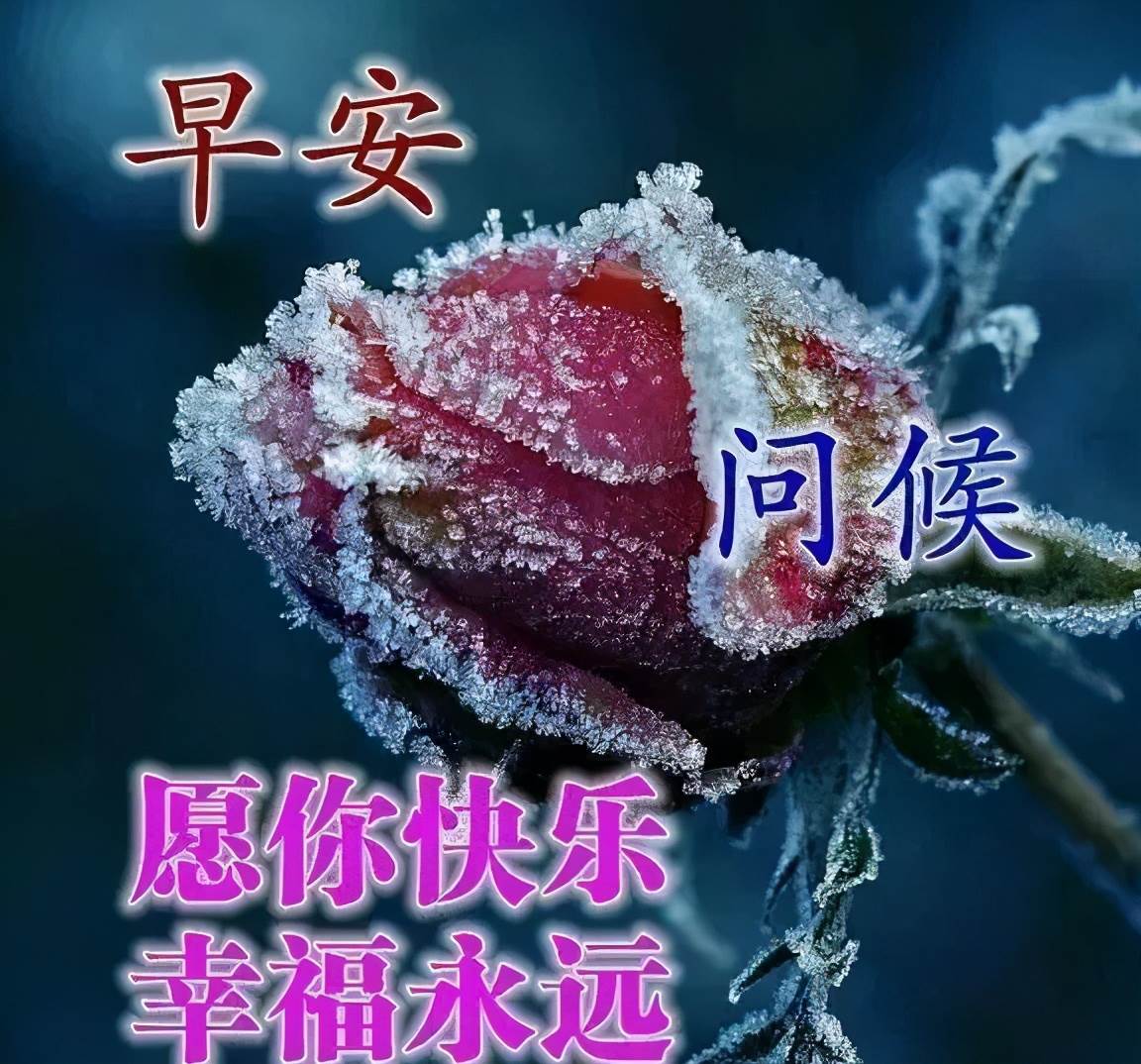 早上圖片問候表情圖片祝福語（最新的早上好動態問候祝福語圖片大全）