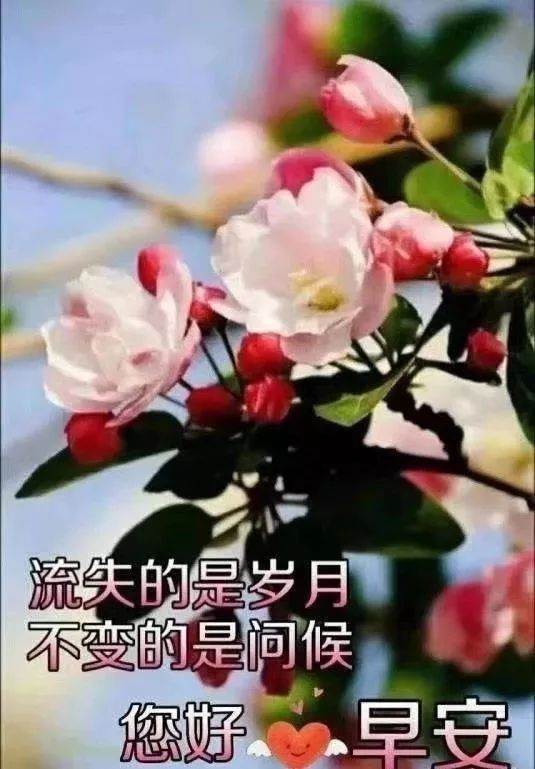 早上好一聲問候、一份祝福（一聲問候）