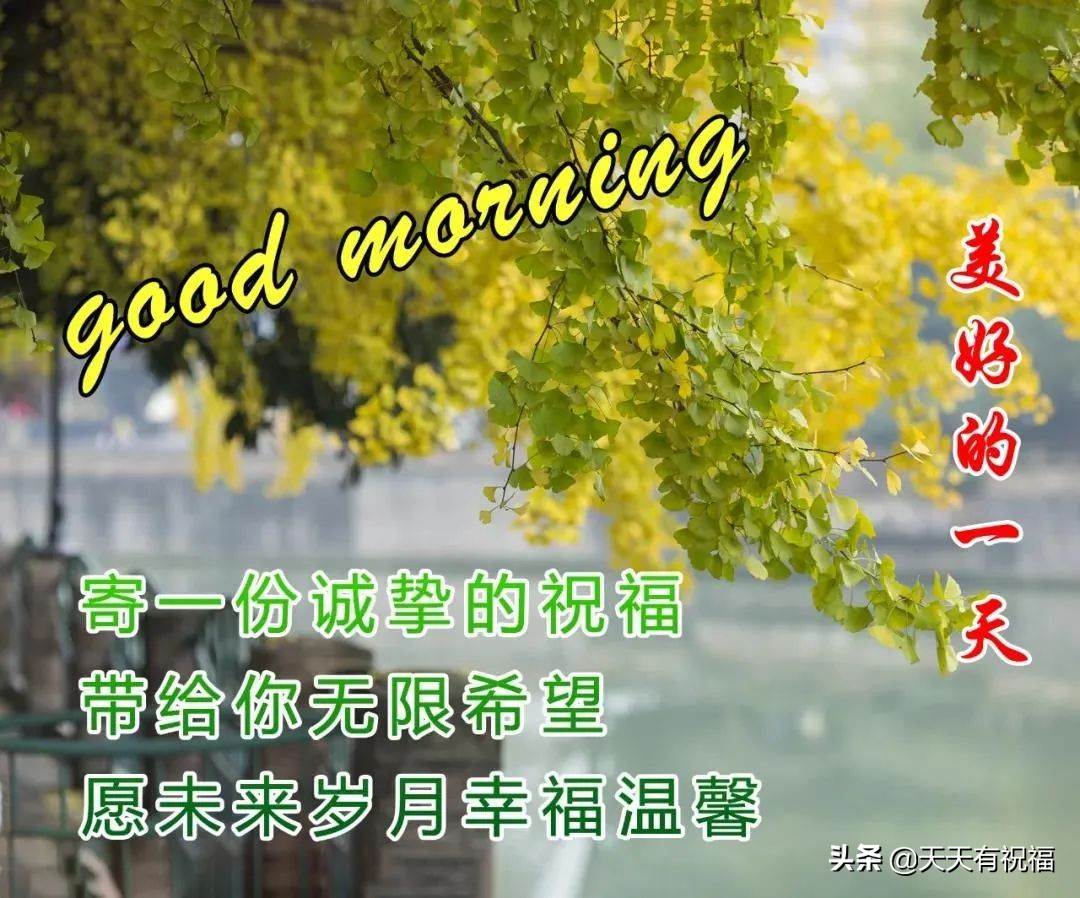 早上好祝福語優美句子圖片集錦 精美的早上好及問候的祝福語圖片