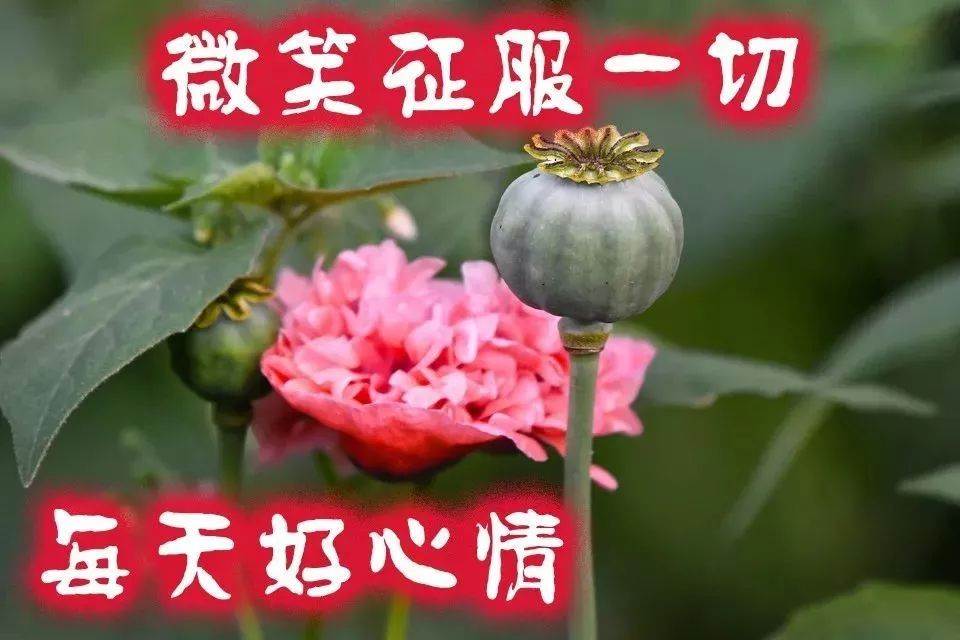 祝福平安快樂早上好的語（祝平安快樂的祝福語）