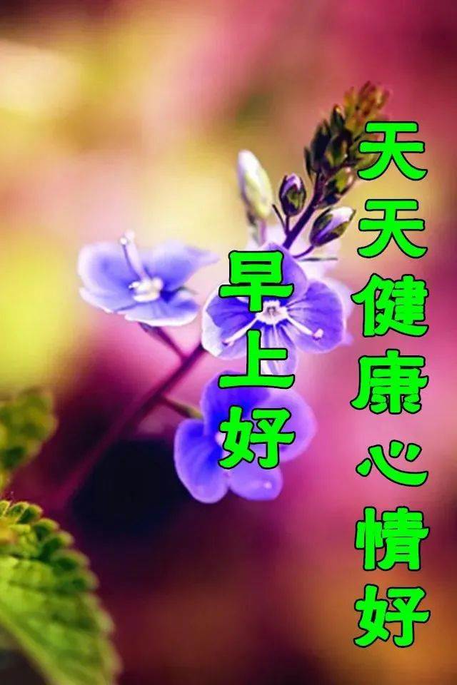 早安好圖片漂亮問候語動態圖溫馨（早安祝福語配圖片早安問候語帶圖片）