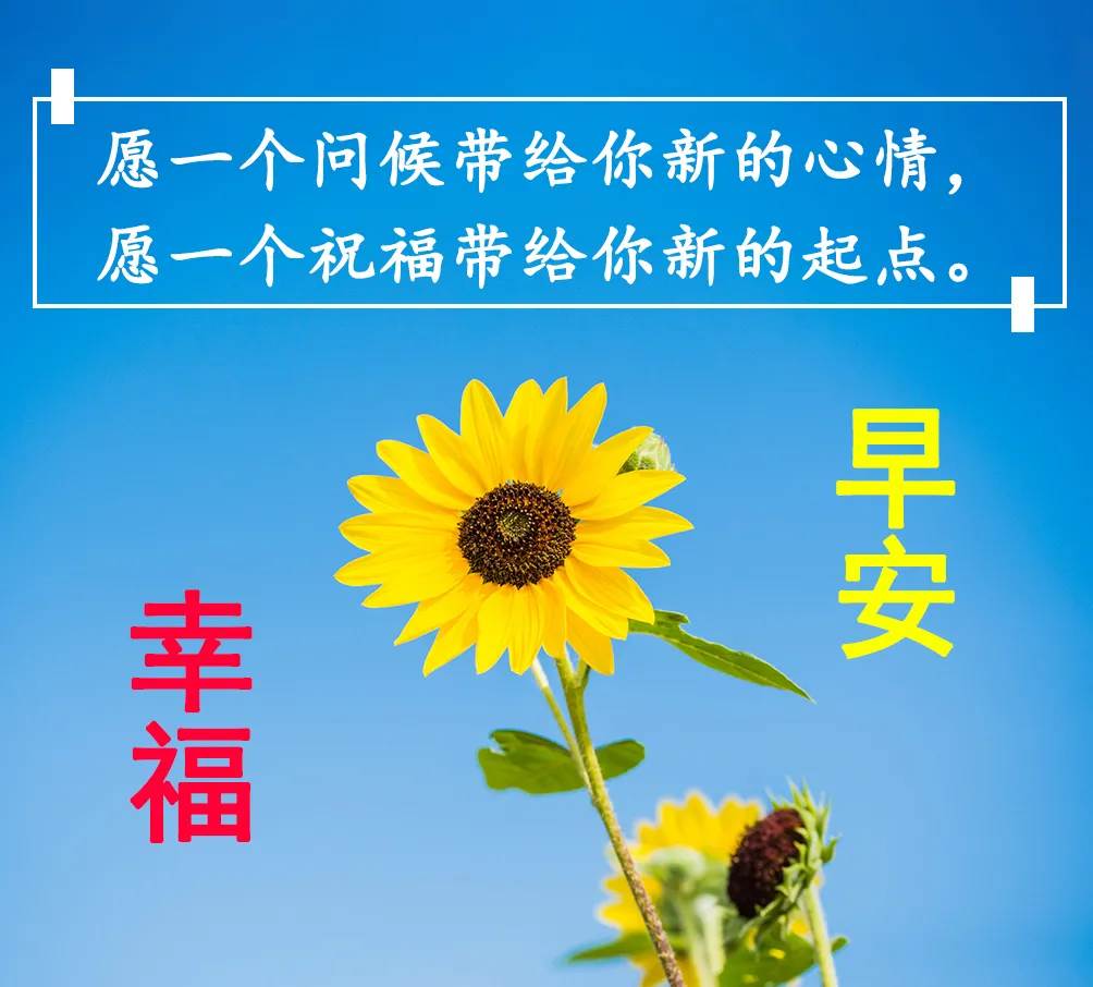 每天早晨的祝福圖片大全_最新早上好圖片祝福語