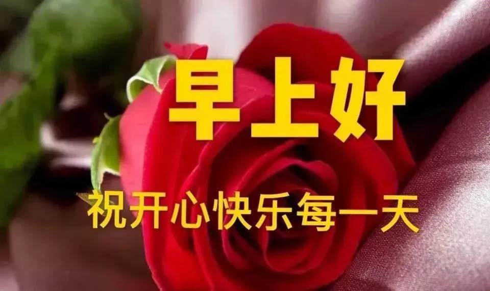 早上圖片問候表情圖片祝福語（最新的早上好動態問候祝福語圖片大全）