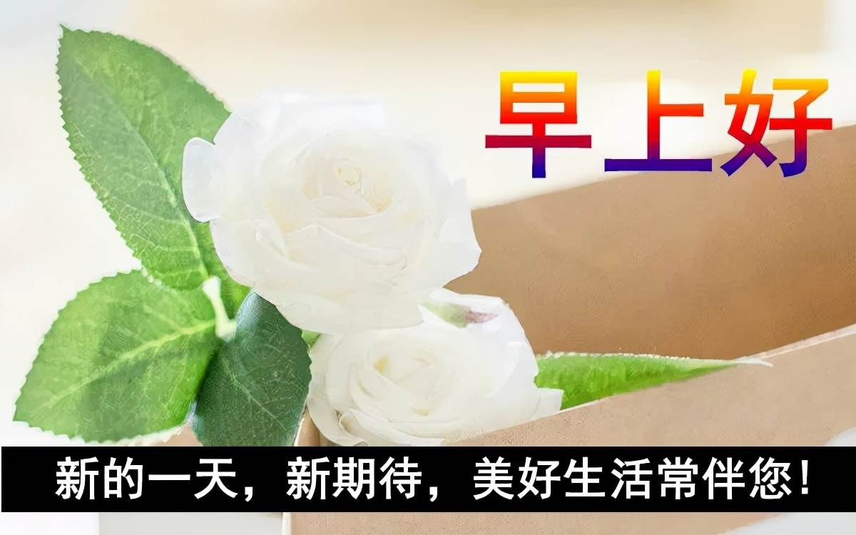 清早問候朋友的早上好暖心祝福圖片（朋友早上問候語早上溫馨問候語圖片）