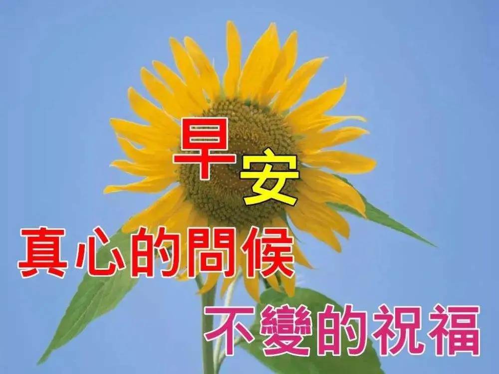 開心每一天_早安