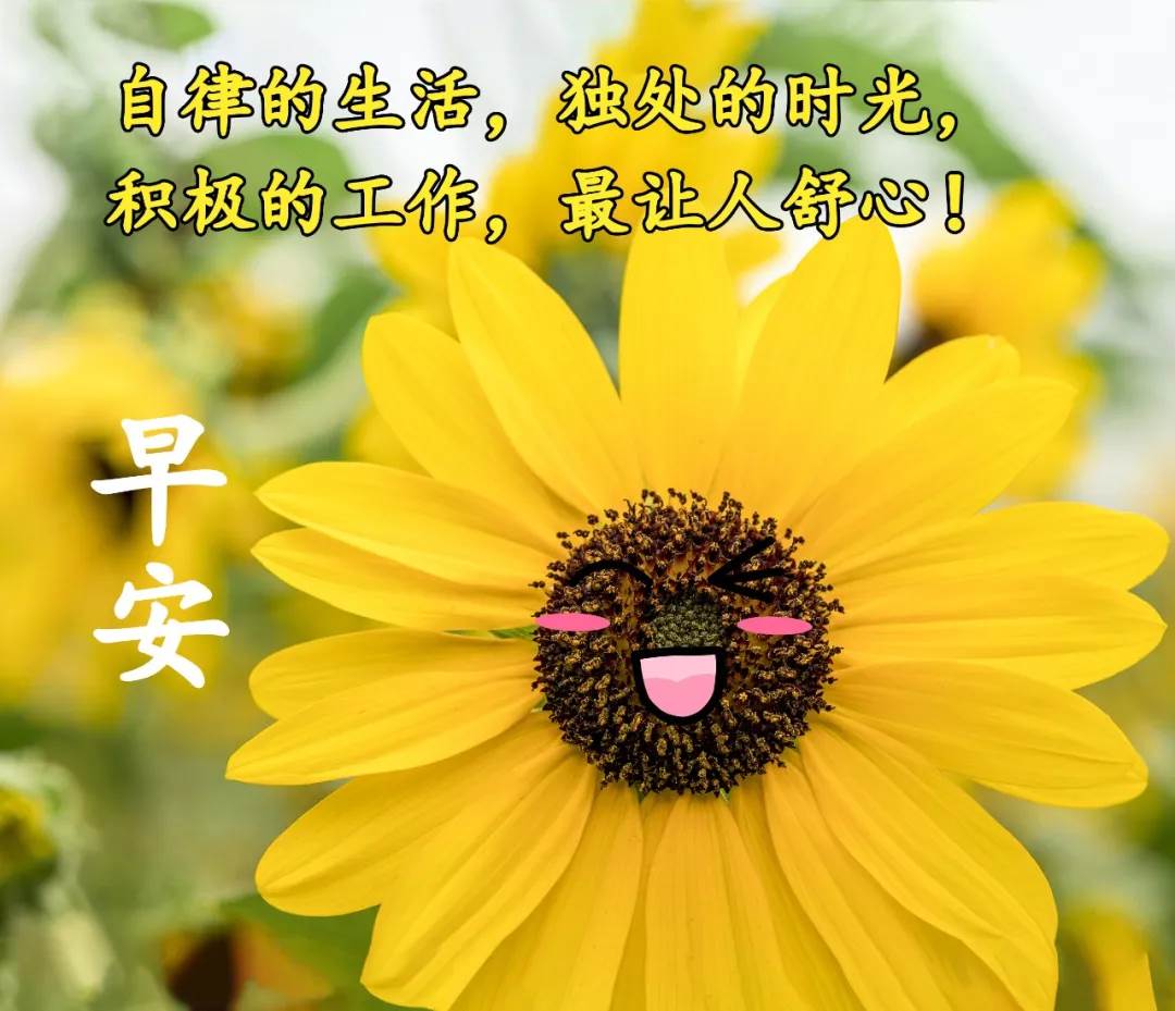 祝福朋友早安幸福快樂圖片_祝福朋友開心快樂每一天祝福語