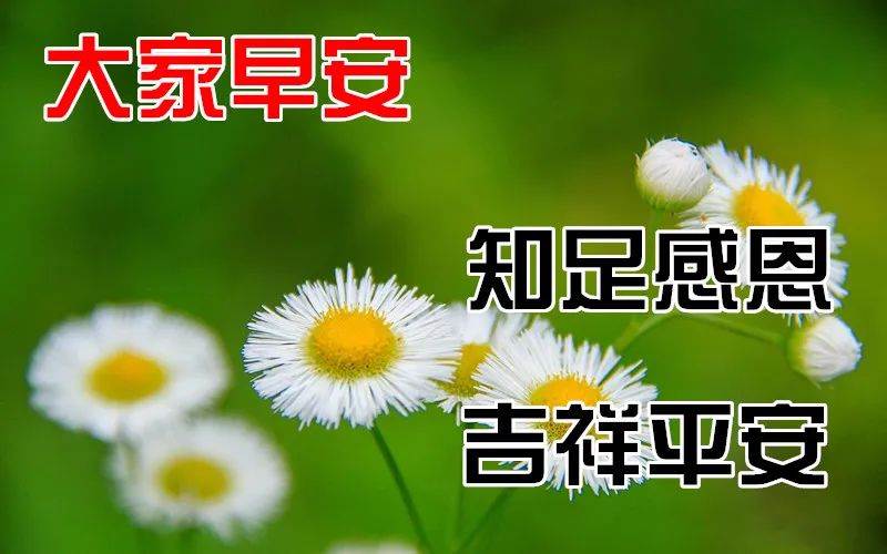 最新微信早上好祝福語圖片（早上好群里問候語圖片）