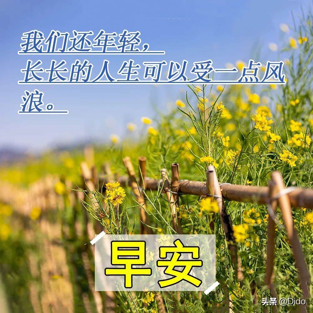 早安正能量簡單一句話文案 早安文案簡短早安句子