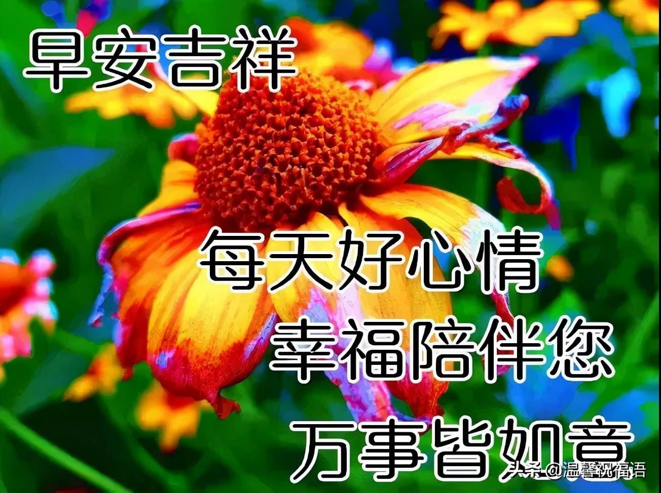 朋友圈早安問候（正能量早安語朋友圈早安圖片）