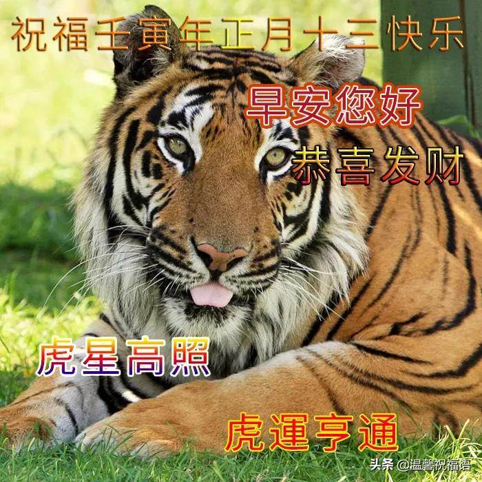 新年祝福語圖片大全2022圖片_2022新年快樂祝福4字