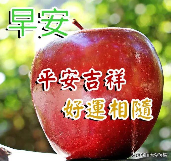 周六早上好問候語圖片帶字（早上好祝福語優美句子帶字圖片大全）