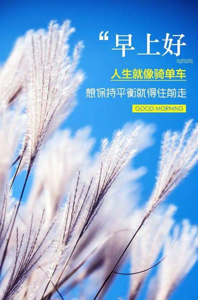 7月微信最新早安正能量的句子是什么_7月微信最新早安正能量的句子有哪些