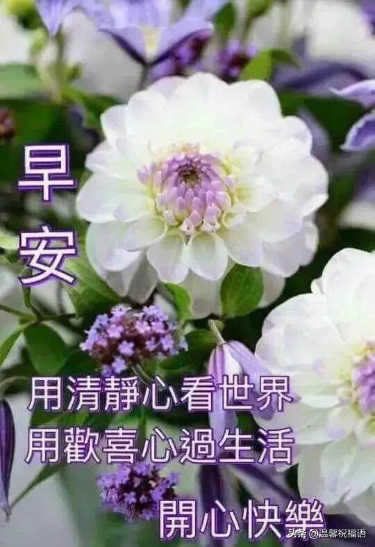 特別漂亮的早安祝福動態圖片大全（最漂亮早安問候語圖片正能量）