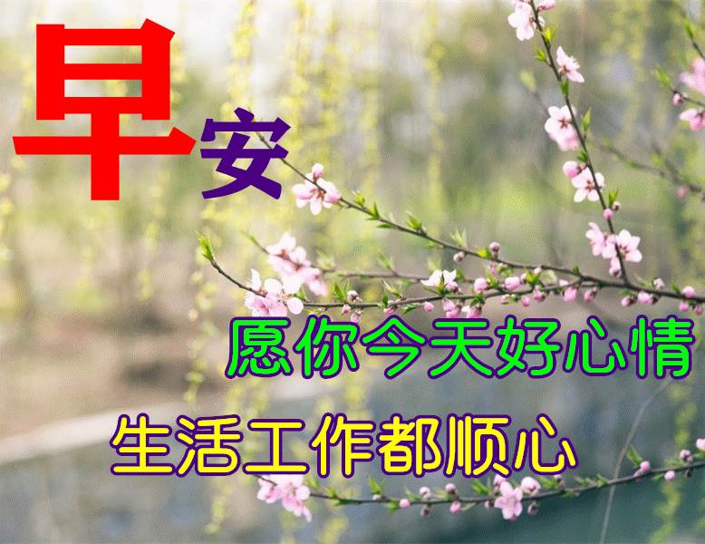 冬天里早晨最美動態圖片和問候語_冬至問候語動態圖片早上好